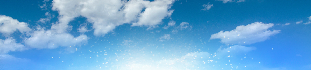 第一物産株式会社